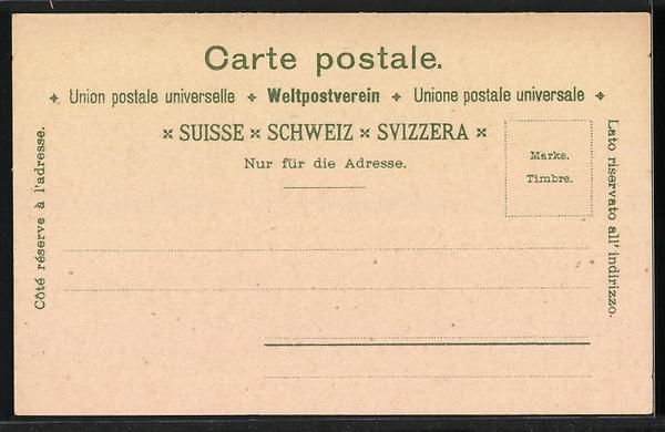 Cartoline postali: Litho Murten, Gesamtansicht, Karl der K – Usato da Berlin venduto da bartko-reher 1