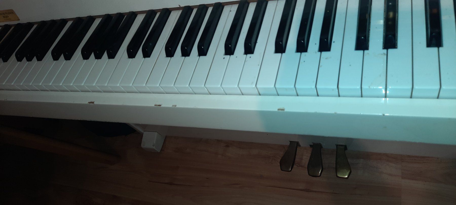 Strumenti musicali: Klavier Concord – Usato da Oberburg venduto da Wengaboy89 4
