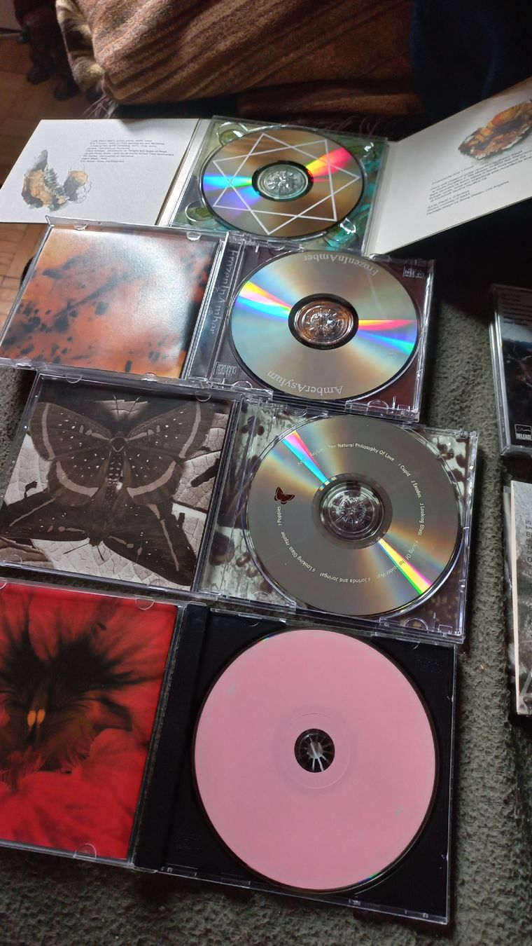 CDs: Amber Asylum CD Sammlung  Darkwave Gothic – D'occasion à Olten par Donatello1984 2