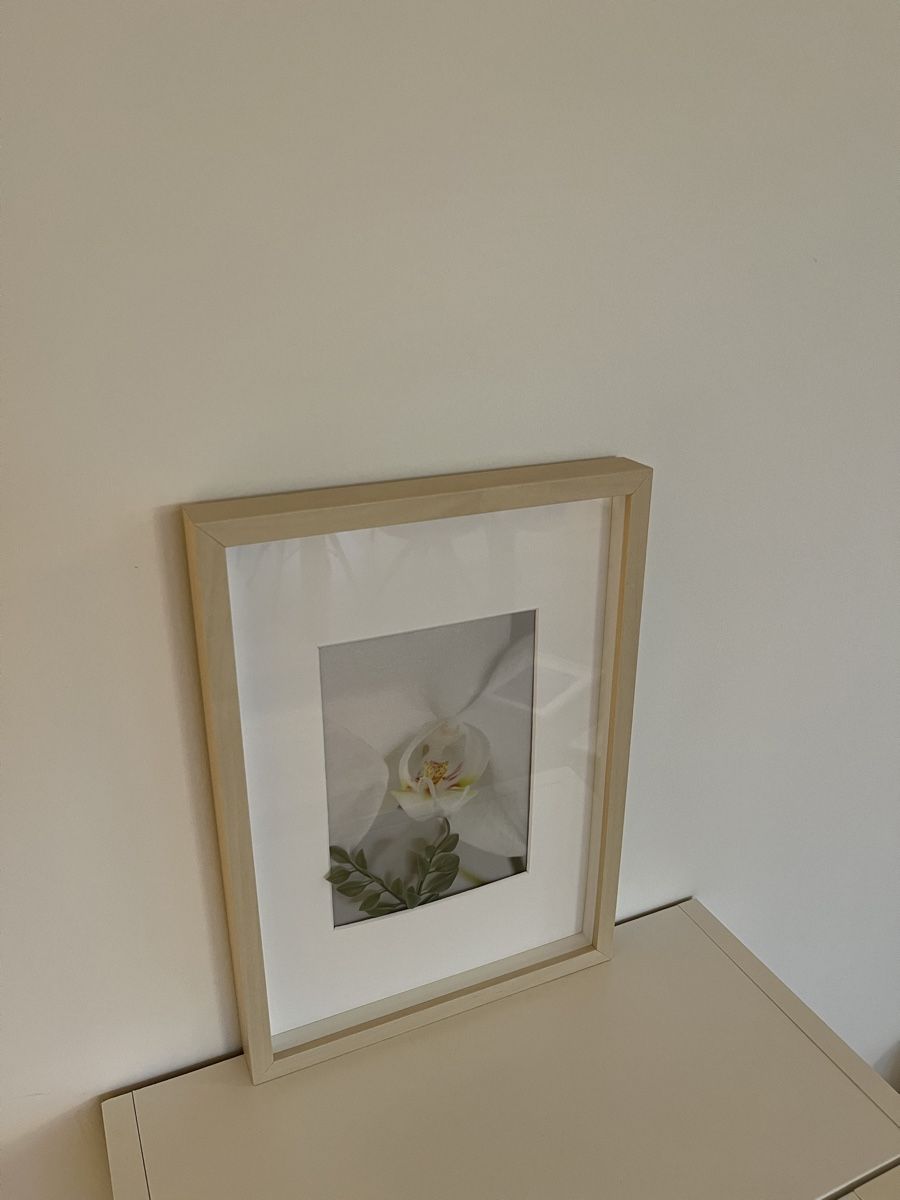 Foto & Immagini: Bild mit Rahmen Orchidée klein – Usato da Rotkreuz venduto da rinchee 1