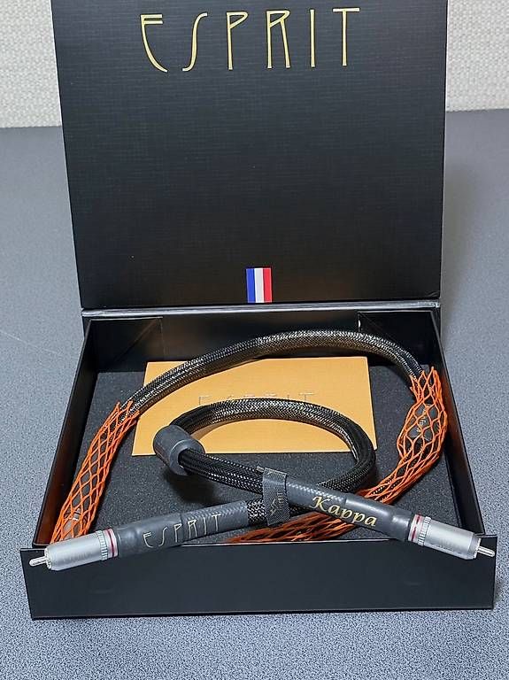 Casse acustiche: ESPRIT Audio KAPPA RCA  – Nuovo e nell'imballaggio originale da Sottens venduto da inf_c62x