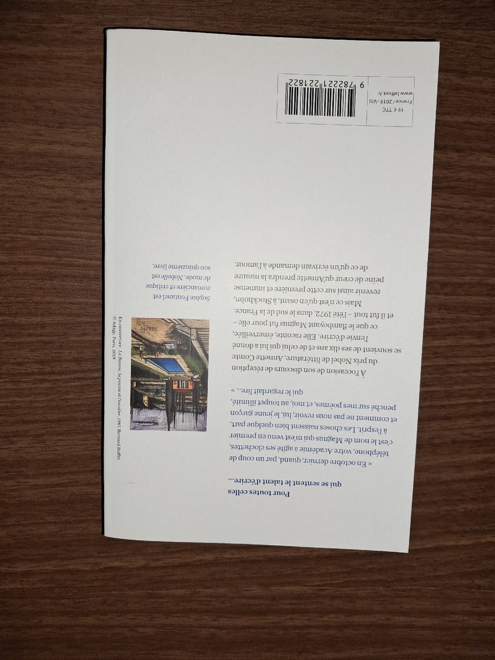 Libri: Nobelle de sophie fontanel – Usato da Le locle venduto da juliensaran 2