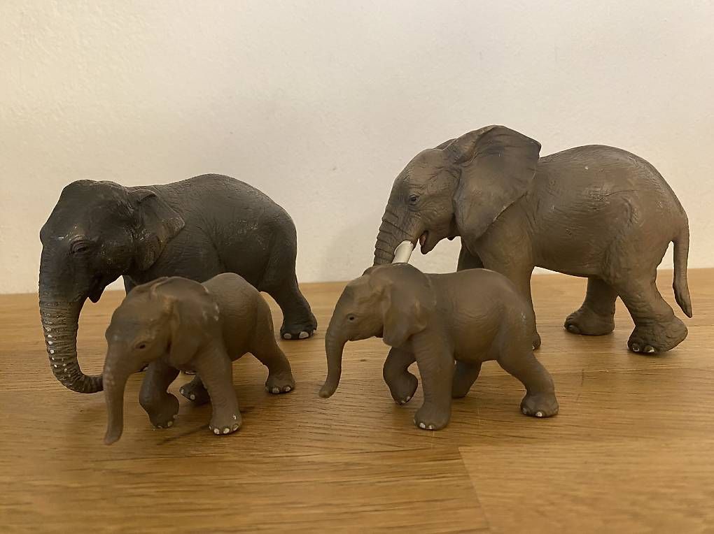 Schleich Spielzeuge: Schleich Elefanten – Gebraucht aus Stettfurt von noesch5