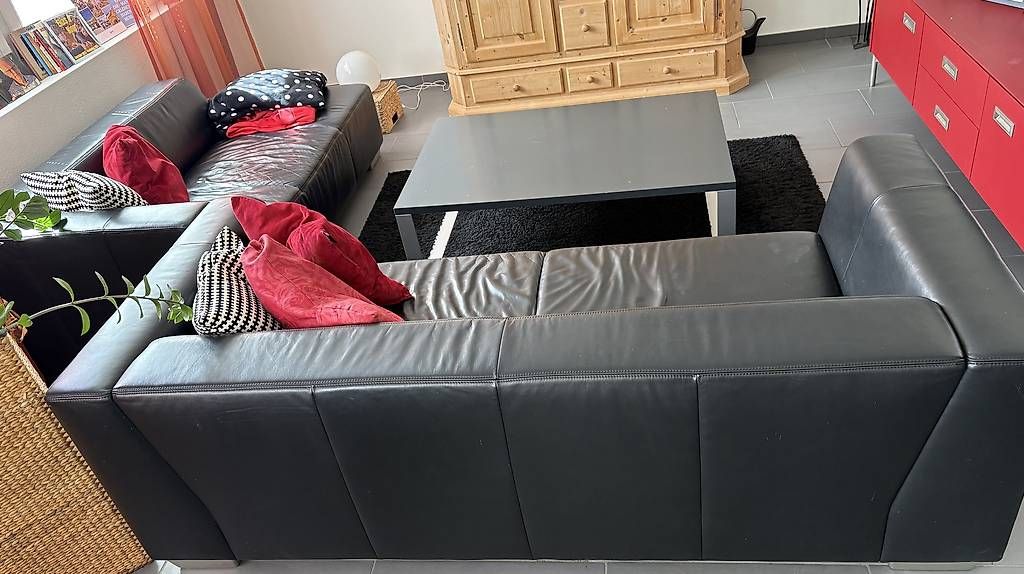 Divani: Ledersofa Doppelteilig – Usato da Winterthur venduto da Lucoelen