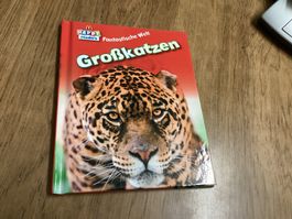 Grosskatzen - Happy Meal Readers, Top Zustand, Kinder