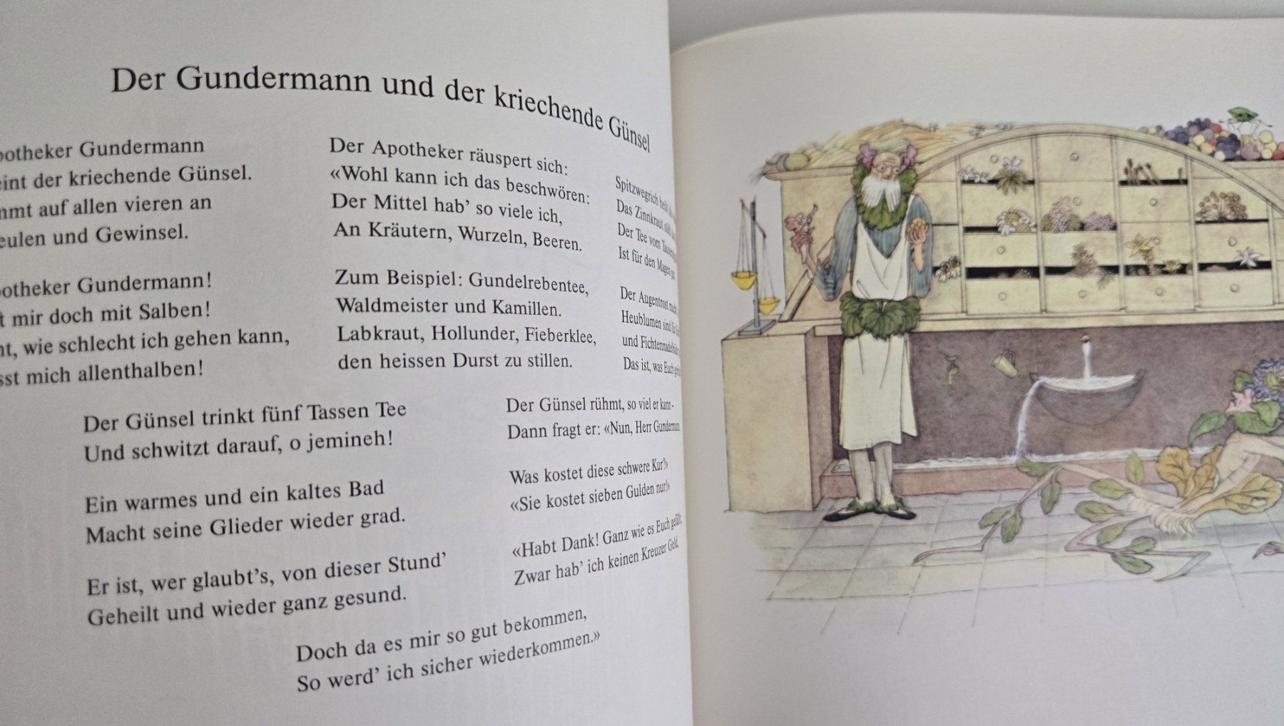Libri: Kinderbuch/Bilderbuch: Der Traumgarten – Usato da Zürich venduto da Mar_Mic 2