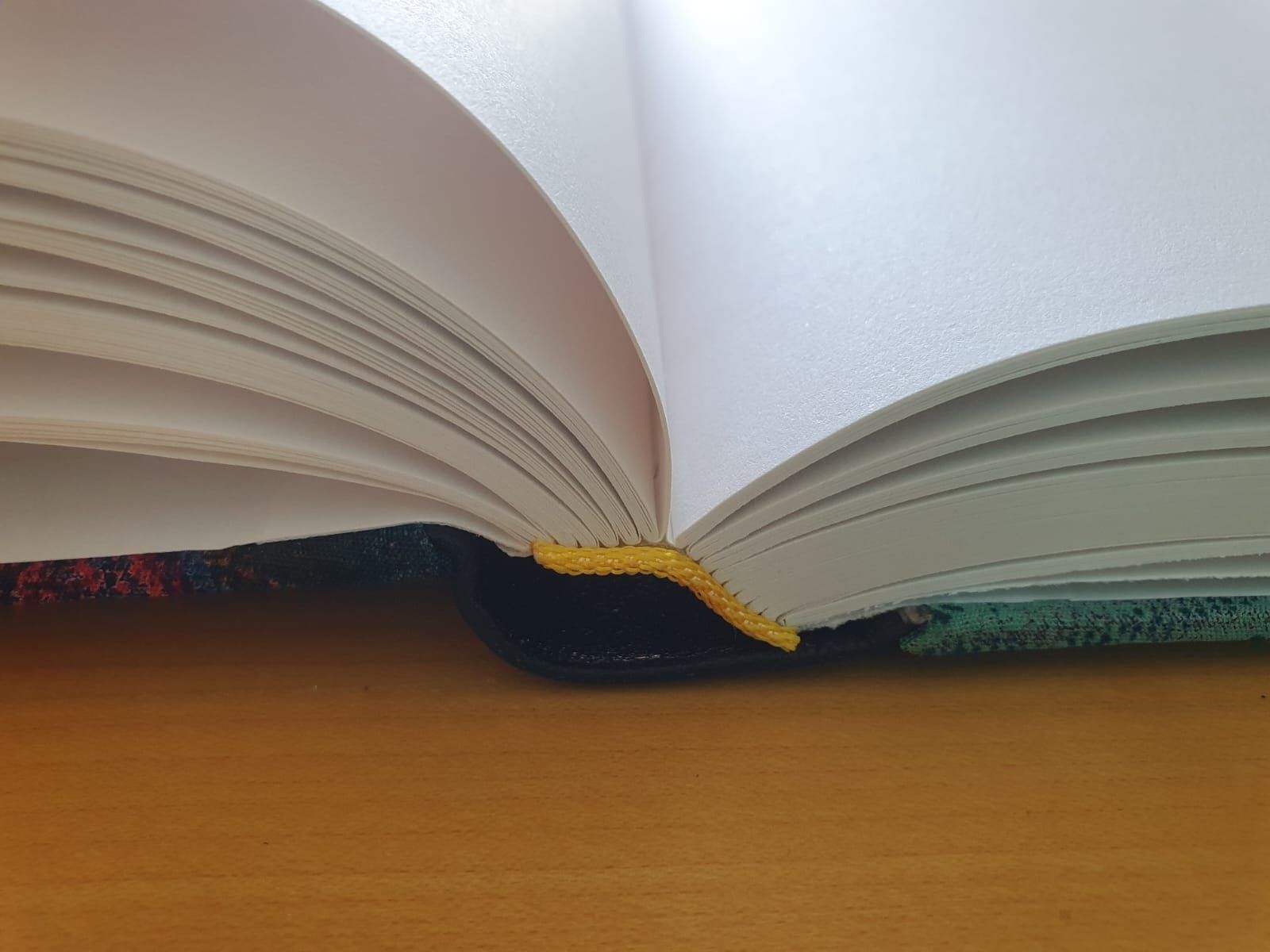 Livres: Blankobuch – Neuf (Voir description) à Allschwil par Jojina123 5