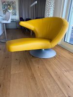 Leolux Parabolica Leder
