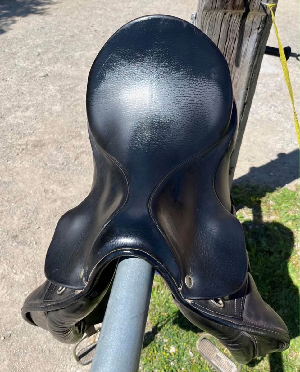 Selle & Accessori: Dressursattel vom Röösli – Usato da Frauenkappelen venduto da www_b6k8 4