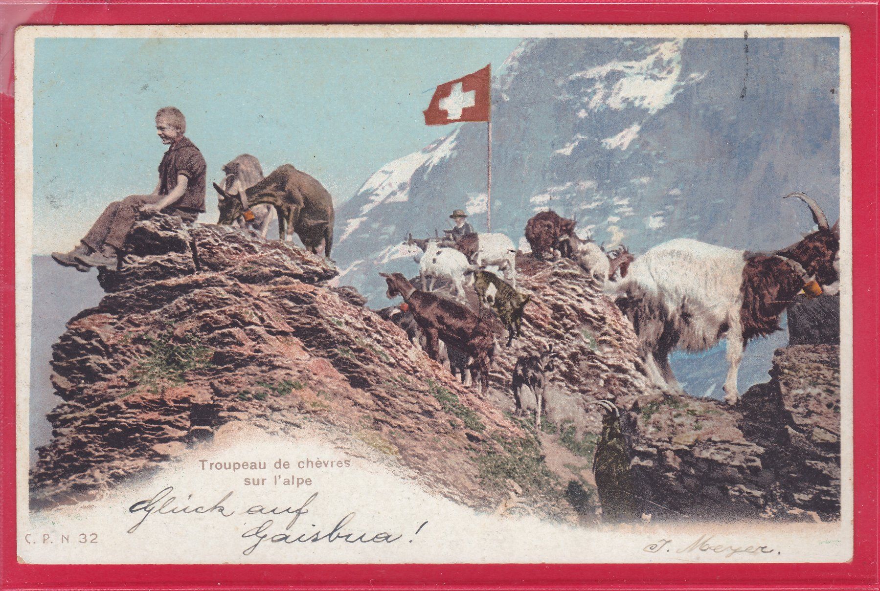 Cartoline postali: TROUPEAU DE CHÈVRES SUR L'ALPE, 25.2.1905 – Usato da Oberrieden venduto da Gebirgsstelze
