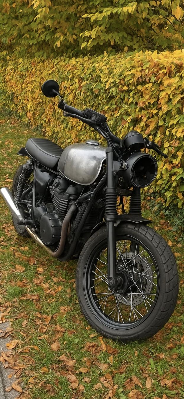 Triumph Altro: Triumph Bonneville T100 – Usato da Glattpark(Opfikon) venduto da Marco007007 4