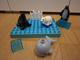 LEGO Duplo Polartiere (Tiere)