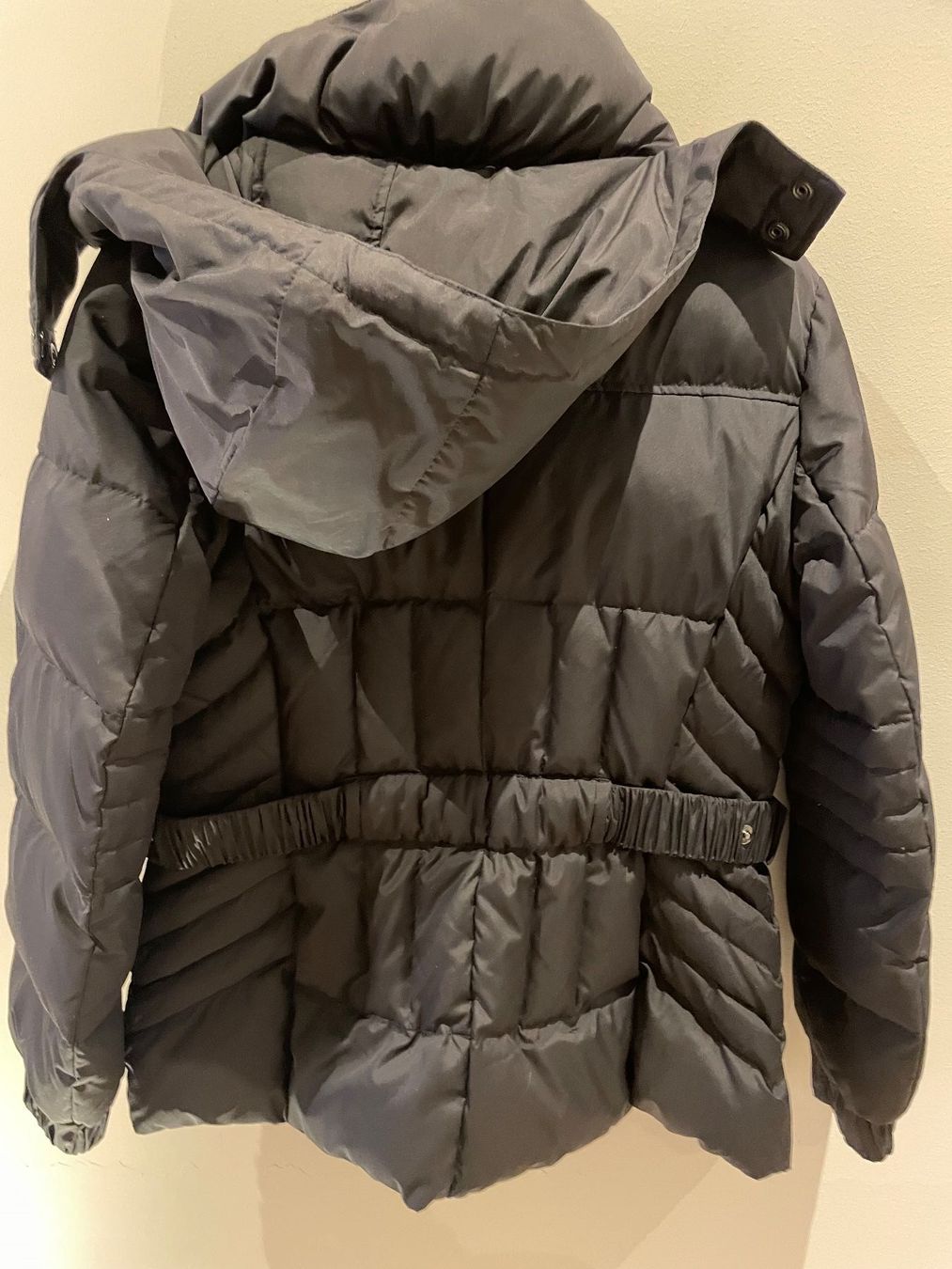 Esprit Giacche: Esprit Winterjacke Daunenjacke/Neu/OVP – Nuovo (secondo la descrizione) da Volketswil venduto da rubin74 1