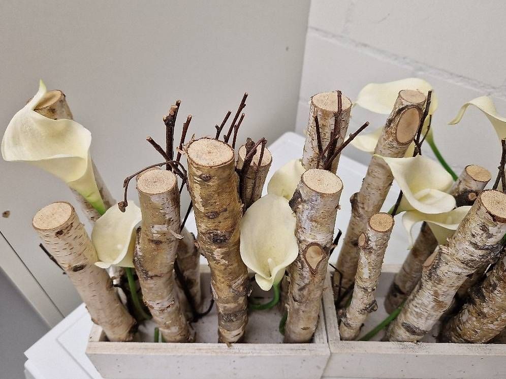 Tutte le decorazioni: Moderne Deko mit Birkenholz, und Blumen. – Usato da Felben-Wellhausen venduto da calalu 2