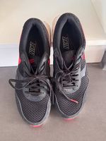 Nike Air Max  Pointure 41 Bon état