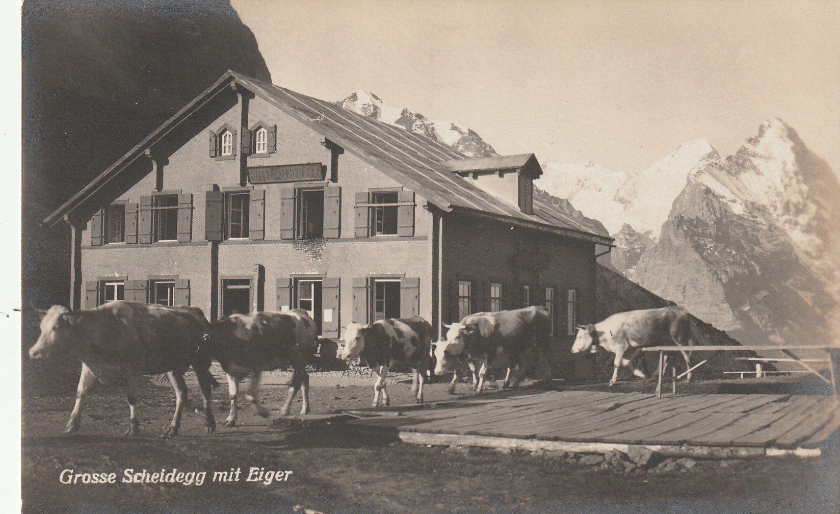 Cartoline postali: BE-Grosse Scheidegg mit Eiger-Grindelwald- Karte ungelaufen – Usato da uttwil venduto da Koehlerfred