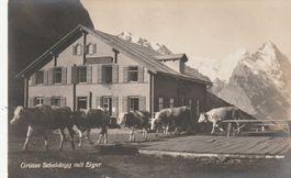 BE-Grosse Scheidegg mit Eiger-Grindelwald- Karte ungelaufen