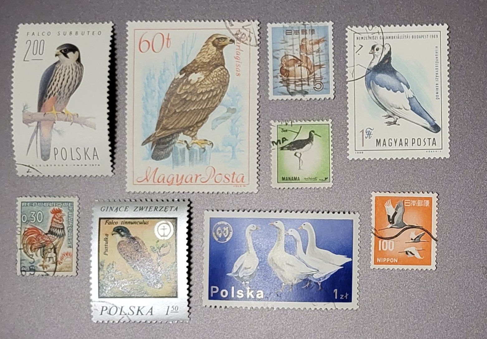 Tutti i francobolli: Briefmarken motiv Vögel – Usato da St Gallen venduto da Stampsalshobby