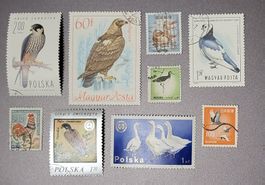 Briefmarken motiv Vögel