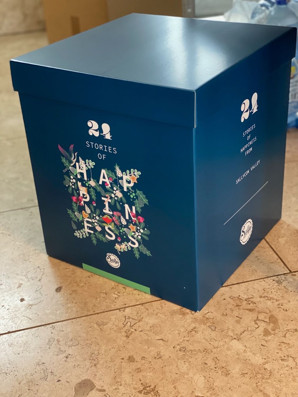 Calendari: Sallys Adventskalender 2023 – Usato da Galmiz venduto da ranunkel25 1