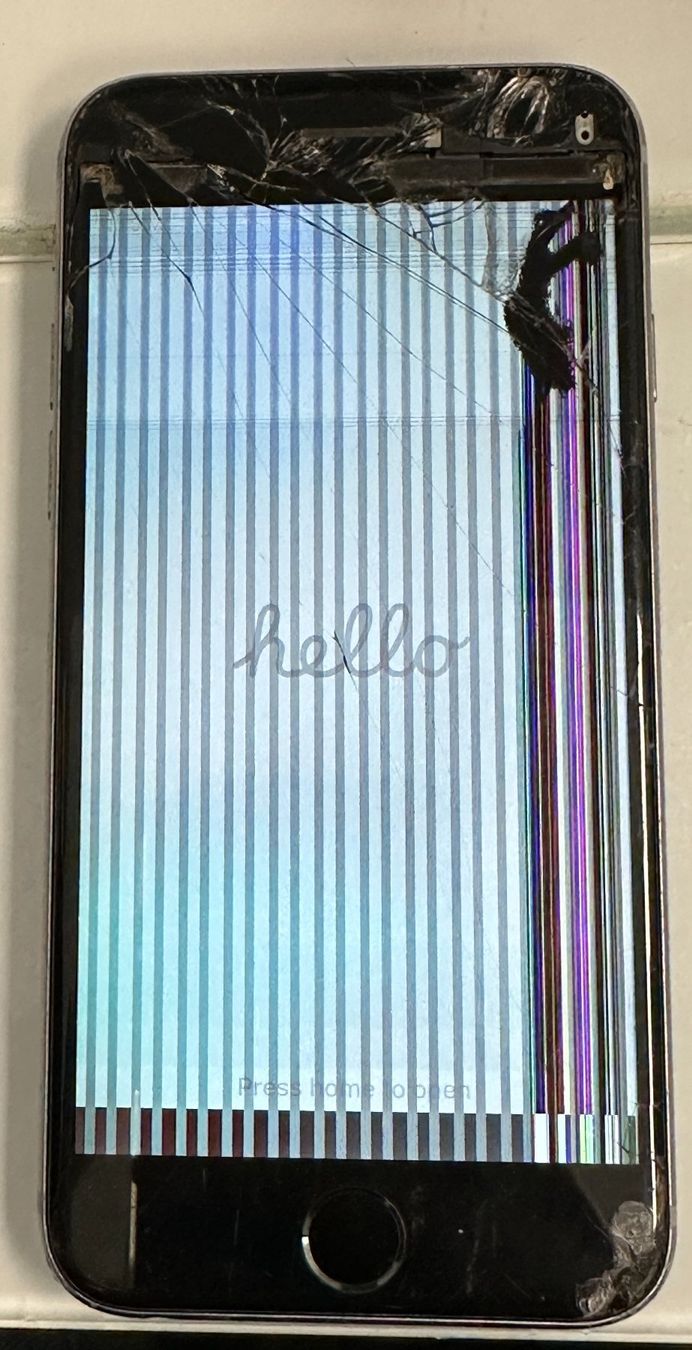 Apple Telefoni cellulari / Smartphones: Apple iPhone 6S, 64GB, Space Grau, defekt – Difettoso da Basel venduto da protekto
