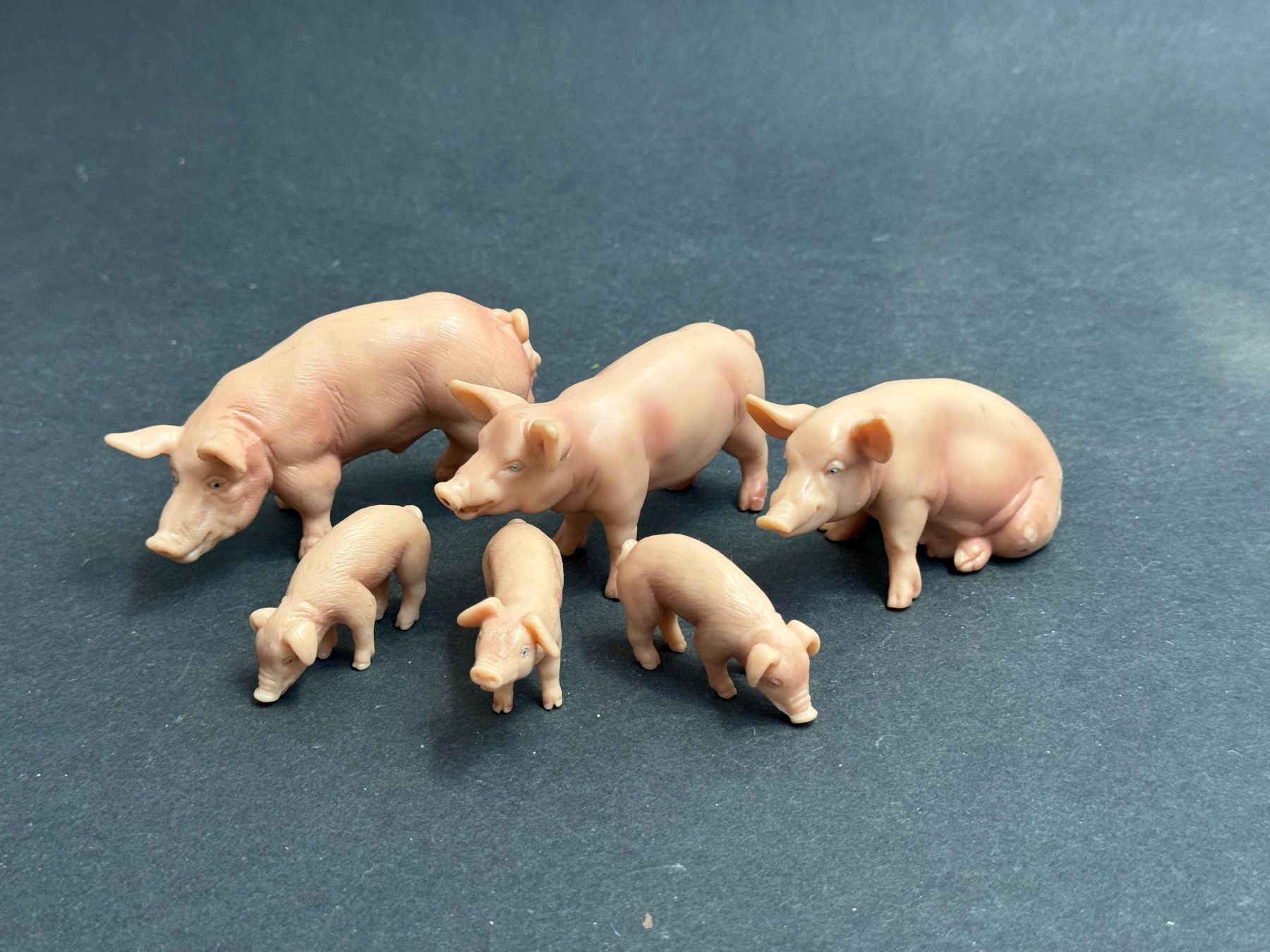 Schleich Statuette: Schleich Schweine Schwein Eber Sau Ferkel alt – Usato da Ennetbaden venduto da mapa05