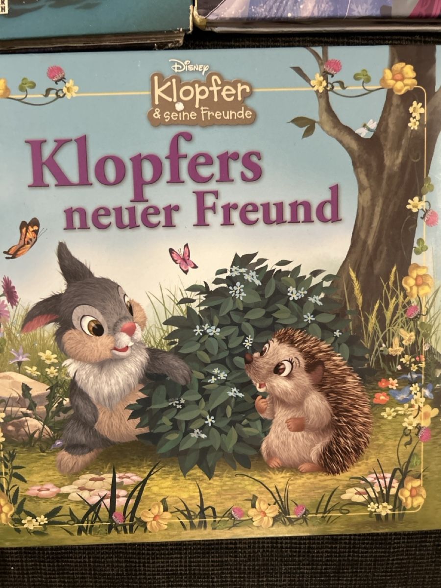 Libri: Disney Kinderbücher Sammlung: Arielle, Eiskoenigin u.v.m. – Usato da Dottikon venduto da cimar 5