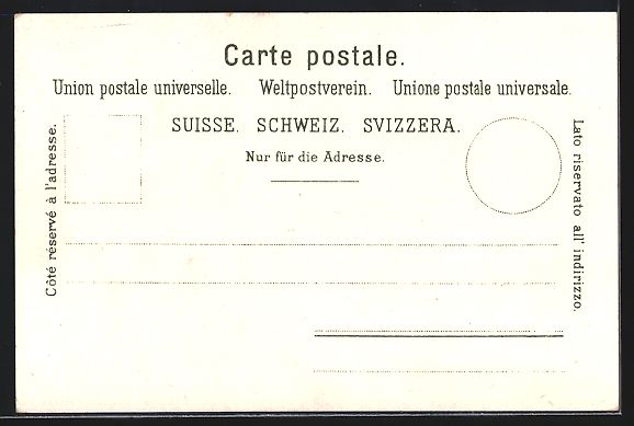 Cartoline postali: Zürich, Blick auf den See mit Dampfer,  – Usato da Berlin venduto da bartko-reher 1