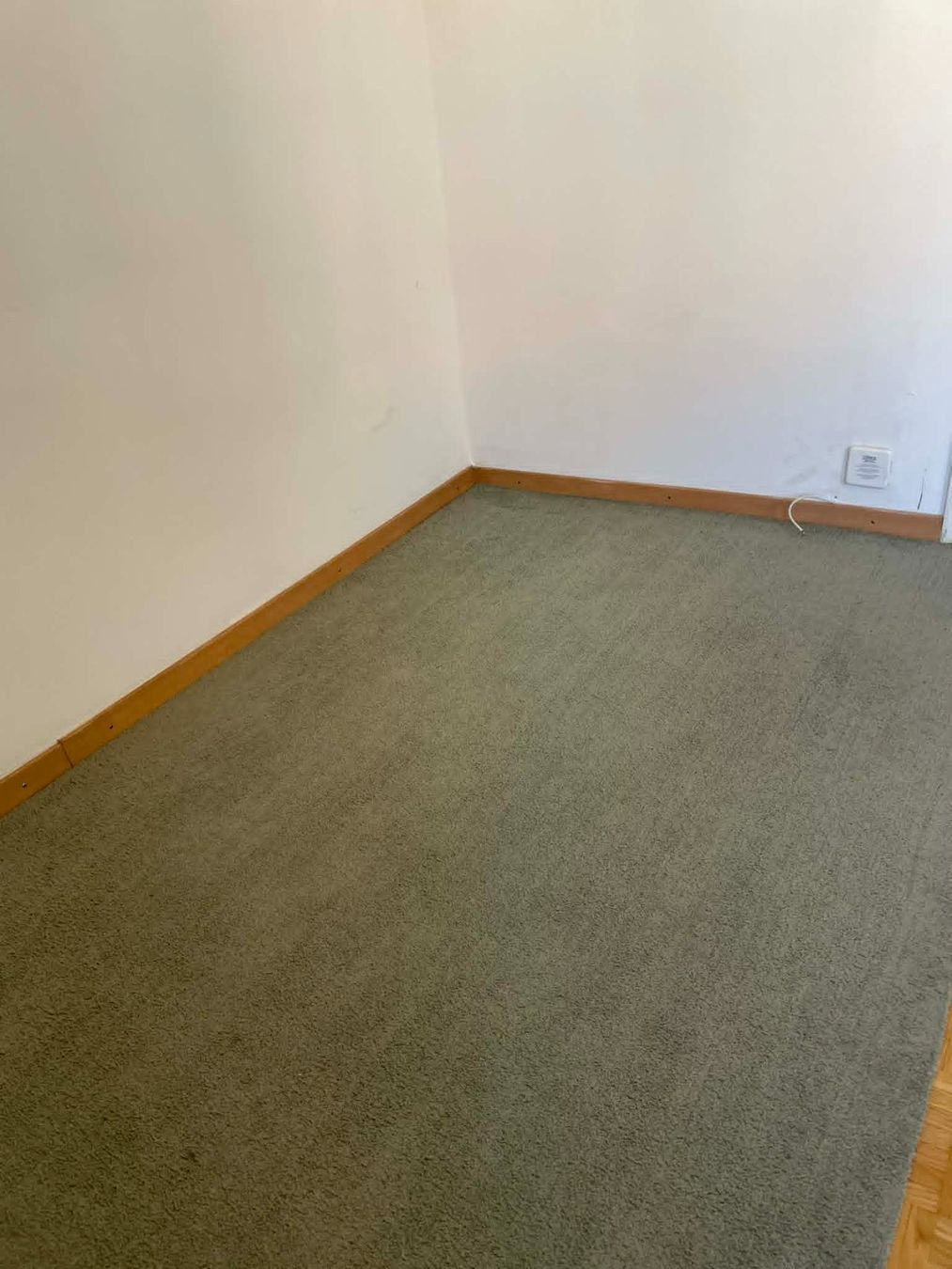 Tappeti: Grand tapis vert 200 x 140 cm – Usato da Lausanne venduto da bor_h7bs 1