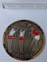 Plakette Emaille Volleyball-Motiv aus Messing 7cm