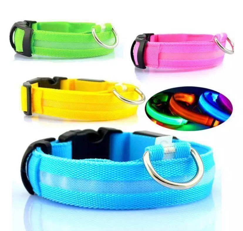 Leine & Halsband: Hunde LED Leuchthalsband – Neu und originalverpackt aus Meggen von Rbrett 2