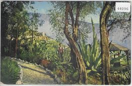 Arco, giardino (Pension Miravalle) Litho