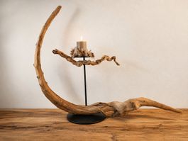 Einzigartiger Kerzenständer / Pflanzenampel aus der Natur