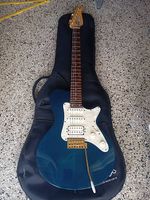 E Gitarre Godin SD
