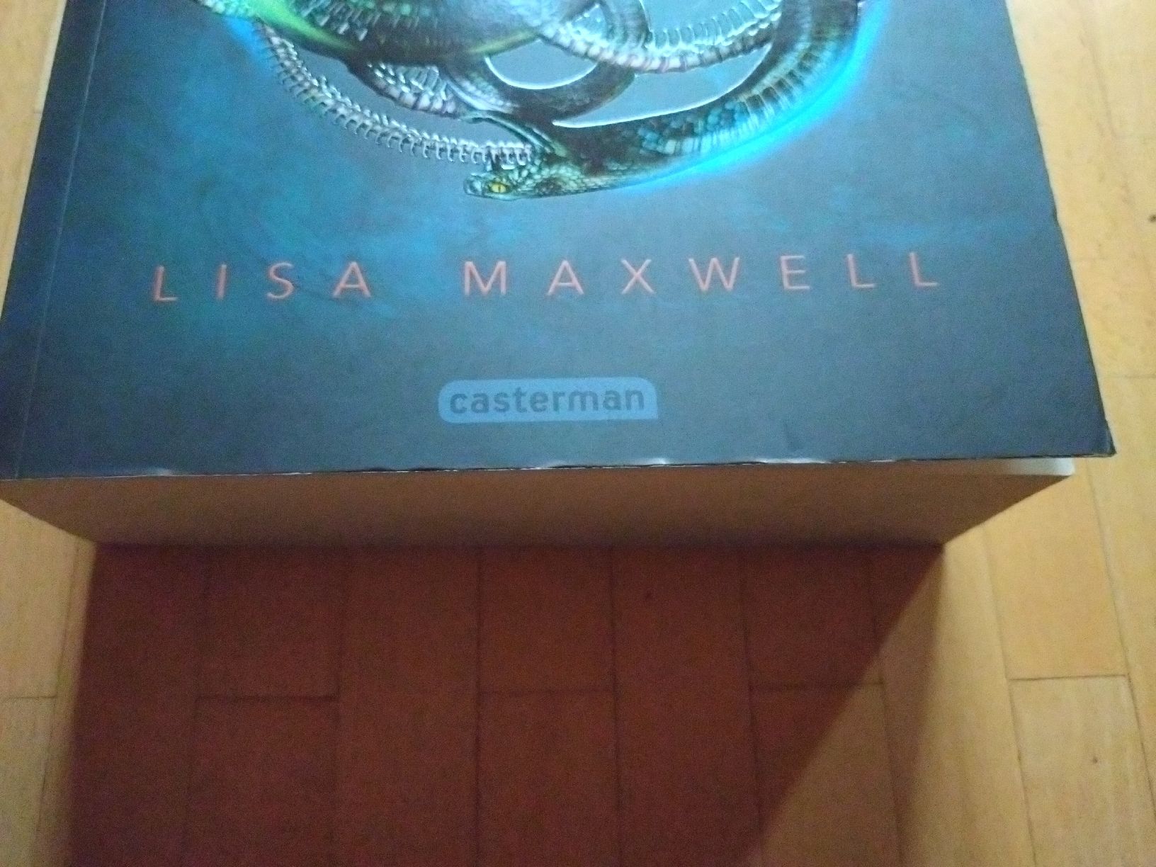 Libri: Le Dernier Magicien I - L'ars arcana -  Lisa Maxwell – Usato da Farvagny-le-Grand venduto da LaCaverne 1