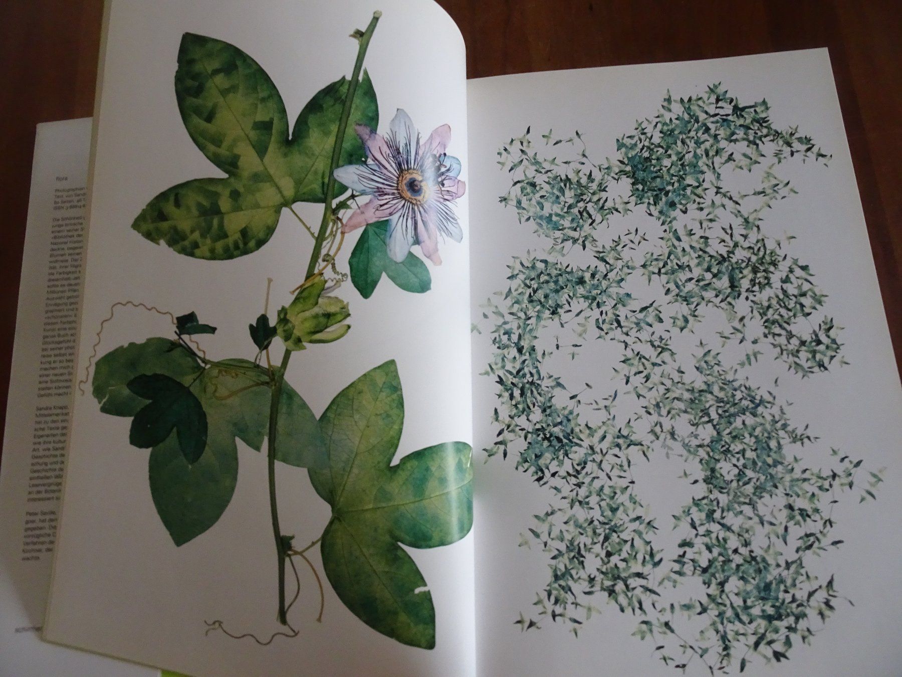 Libri: Nick Knight, FLORA – Usato da männedorf venduto da purzelchen 3