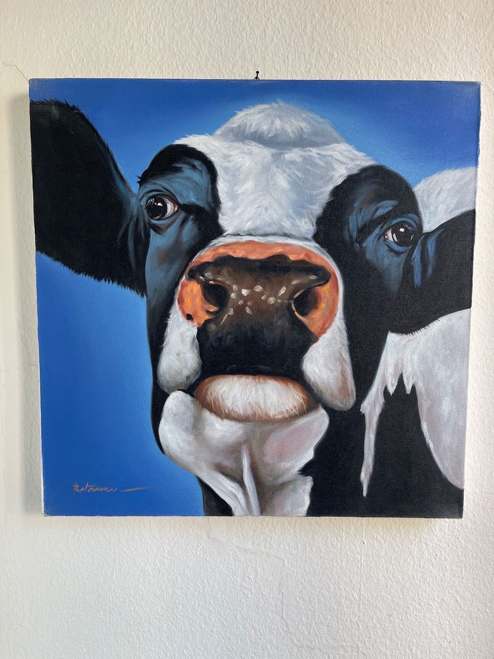Dipinti: Kuhbild Acryl auf Leinwand 60x60 cm – Usato da Zürich venduto da d.reitzer