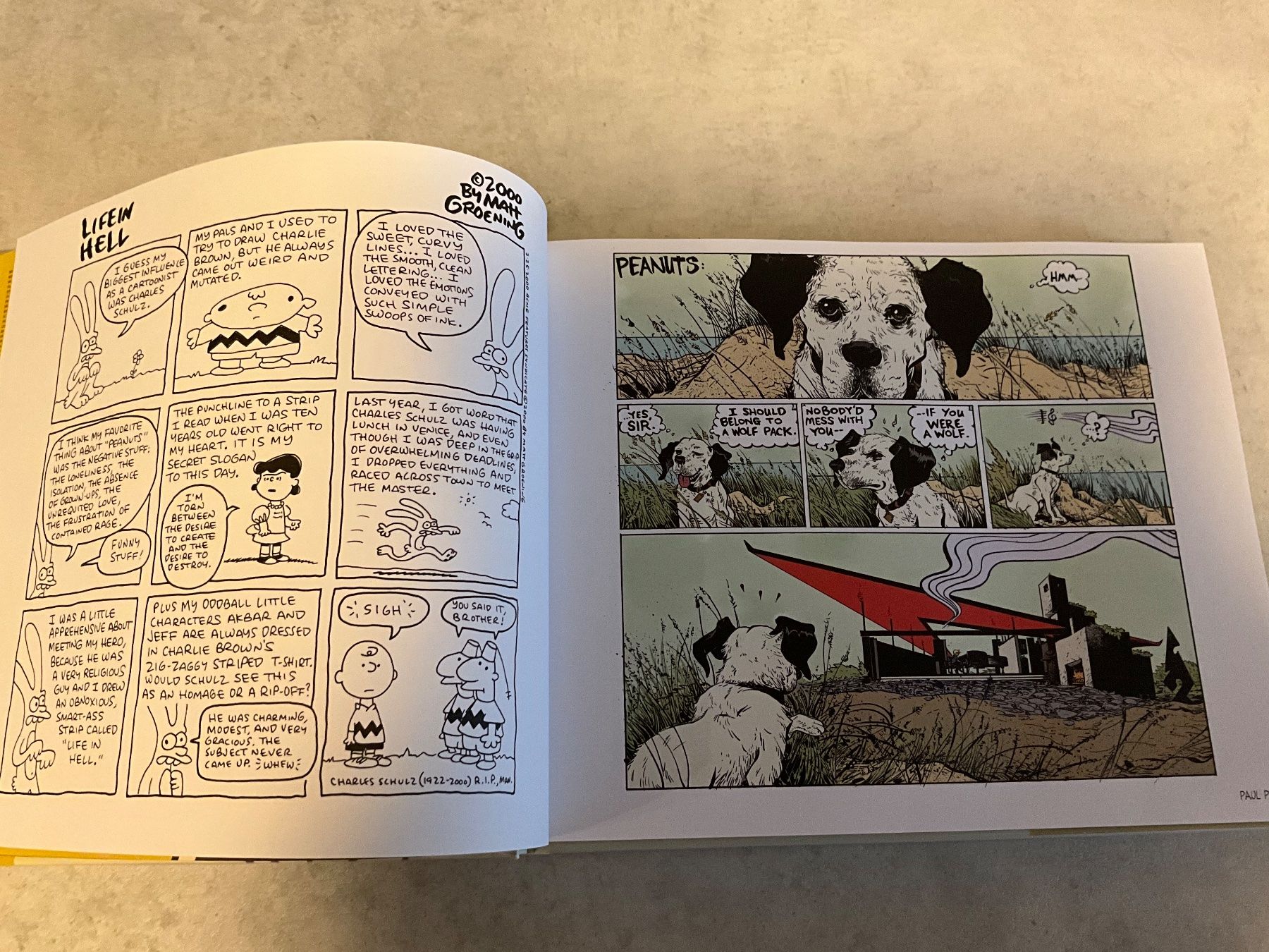 Fumetti: Peanuts a Tribute To Charles M – Usato da Agriswil venduto da Ueli03 2