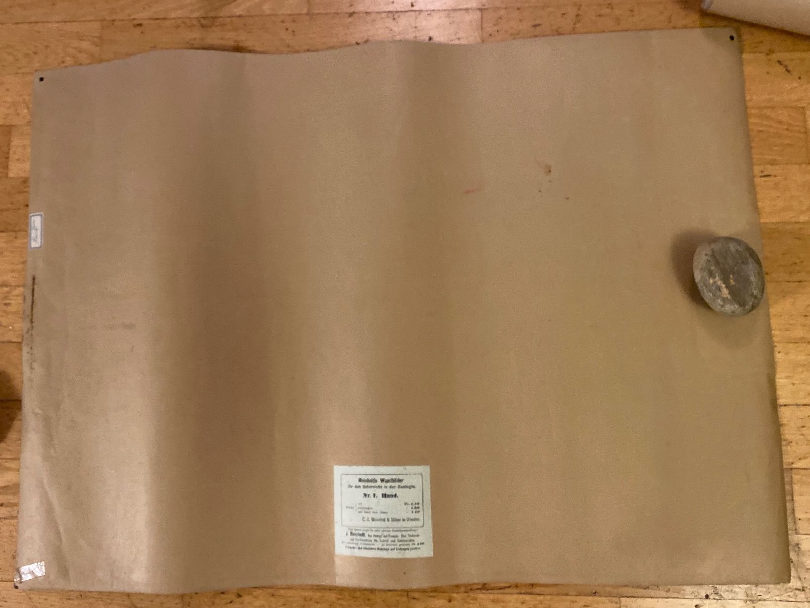 Foto & Immagini: Schulwandbild Lerntafel Hund – Usato da Solothurn venduto da BORGHAGEN 2