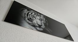 Weisser Tiger Hochglanzdruck auf Glas  B 125 T 1 H 50 cm