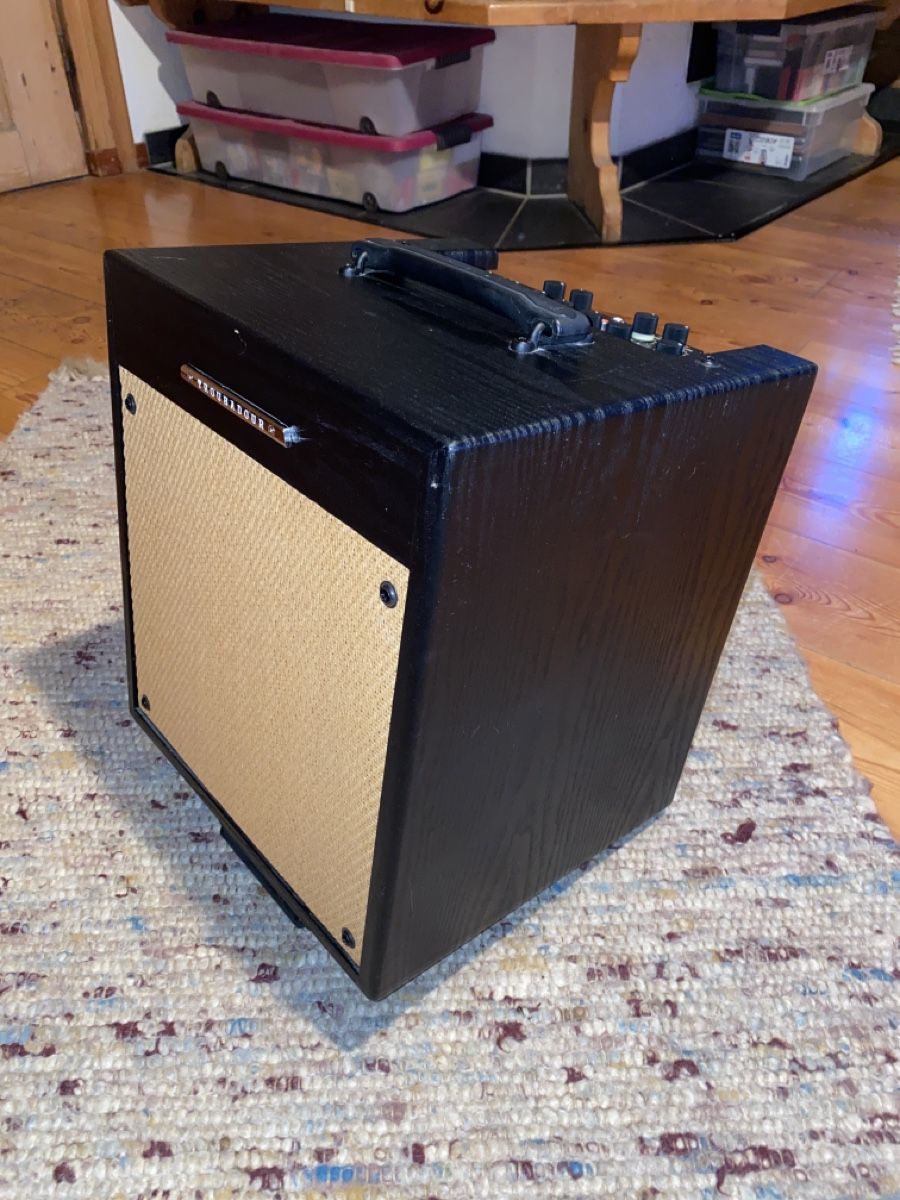 Casse acustiche: Ibanez Troubadour T 35 – Usato da Sta. Maria V. M. venduto da perpeline