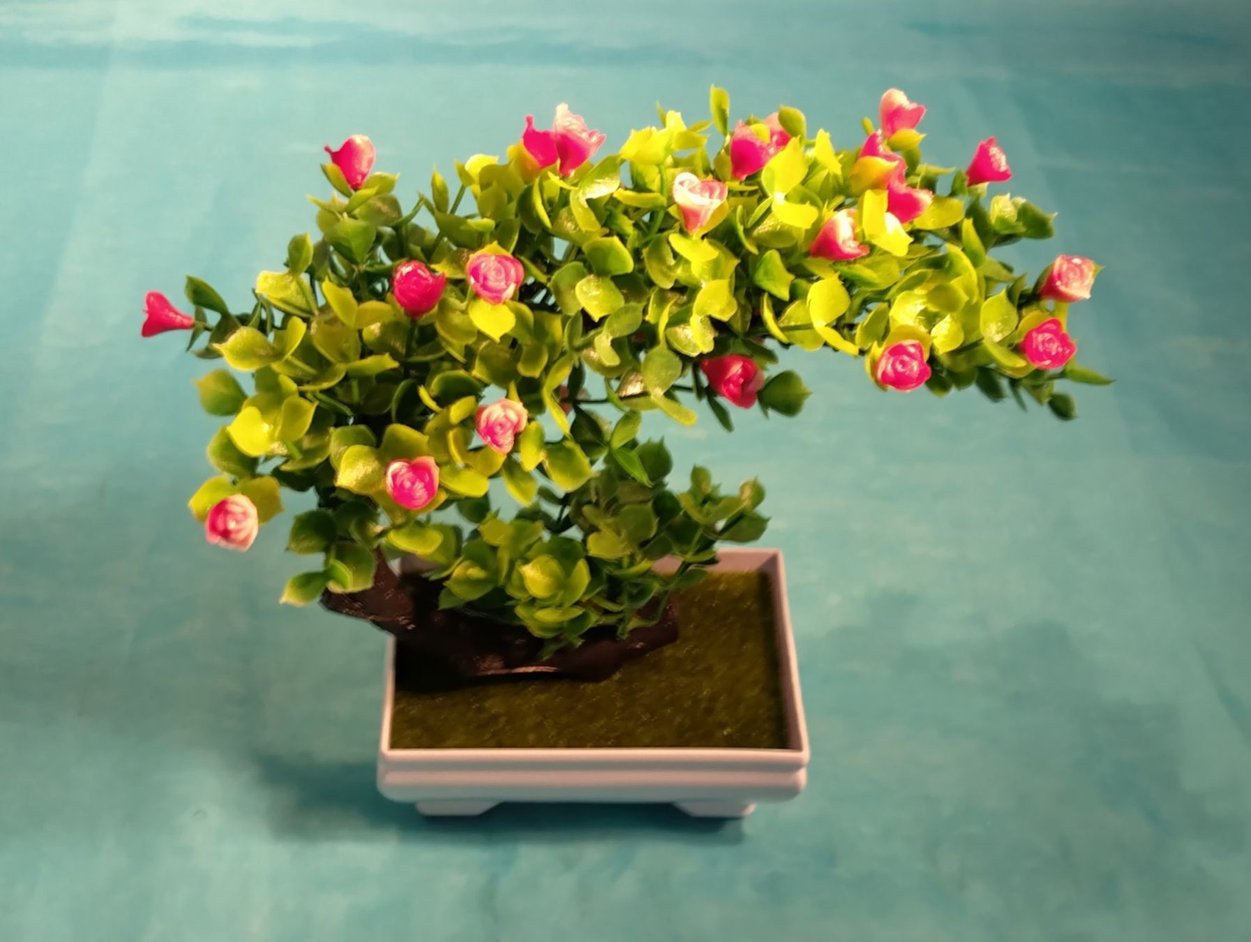 Pflanzen & Samen: Bonsai Bäumchen, Kunstpflanze – Neu (gemäss Beschreibung) aus Bellach von JingleCherry 1