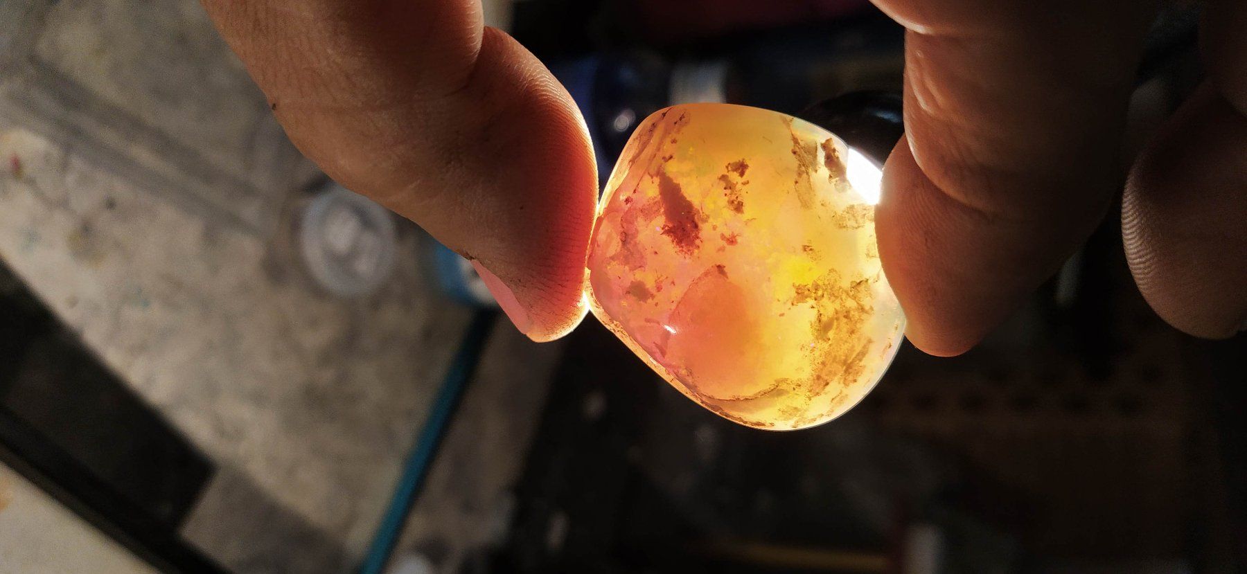 Fossili: Opalisierte Muschel – Nuovo (secondo la descrizione) da Dieterswil venduto da Opal66 9