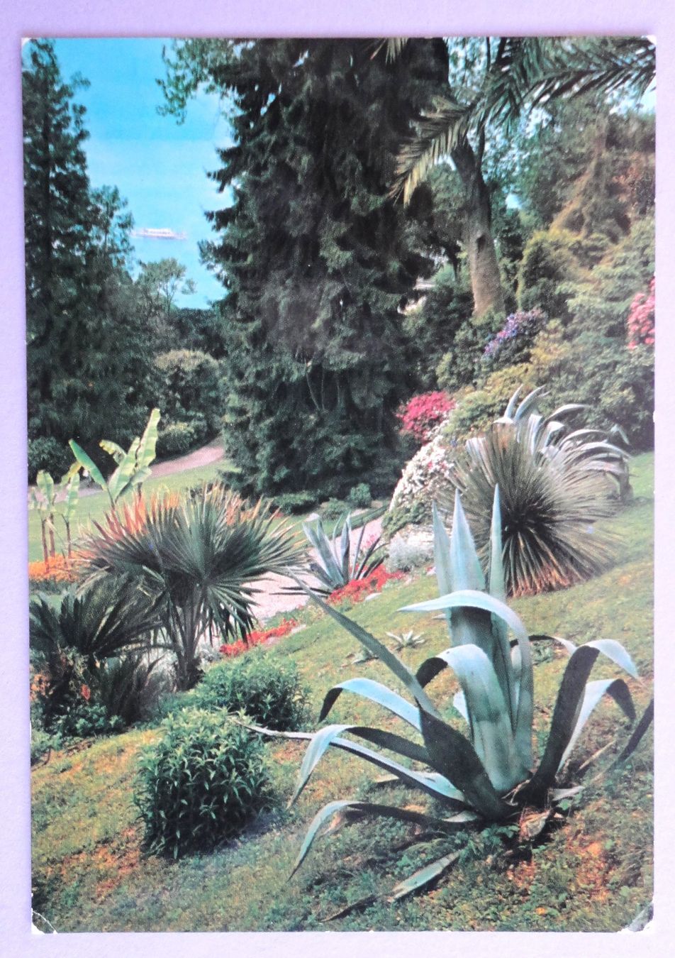 Cartoline postali: Giardini del Sud – Usato da Fétigny venduto da Billy2miny