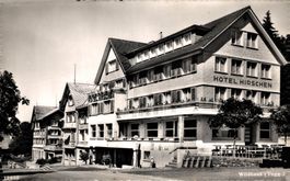 Wildhaus (Togg.). Hotel Hirschen