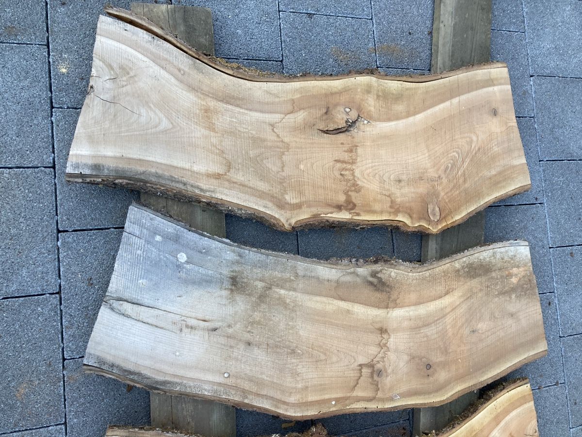Articoli in legno: Kirschbaumbretter – Usato da Luthern Bad venduto da Peter686 5