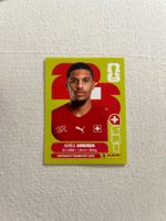 Panini Sui 7