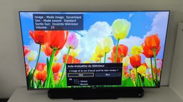 65" TV 4K Pro HDR , Panasonic TX-65FXW784, Nativ 100/120Hz