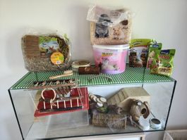 Nagetierkäfig Glas inkl. diverses Hamsterzubehör