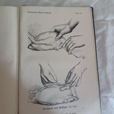 Bücher: Wiener Kochbuch von 1901 – Gebraucht aus Abtwil SG von luupsy 8